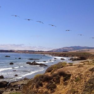 Meet your Posher, Chanel